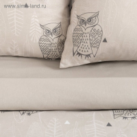 Постельное бельё "Этель" 1.5 сп Ушастые совы (вид 2) 143 х 215 см,150 х 214 см, 70 х 70 - 2 шт Постельное бельё "Этель" 1.5 сп Ушастые совы (вид 2) 143 х 215 см,150 х 214 см, 70 х 70 - 2 шт