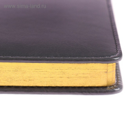 Ежедневник недатированный А5+, 136 листов Sidney Nebraska, твёрдая обложка, искусственная кожа, золотой срез, серый Ежедневник недатированный А5+, 136 листов Sidney Nebraska, твёрдая обложка, искусственная кожа, золотой срез, серый