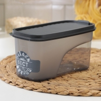 Ёмкость для сыпучих продуктов &laquo;Бест&raquo;, 1 л, 9,5&times;19&times;9,5 см, прозрачный, крышка серая