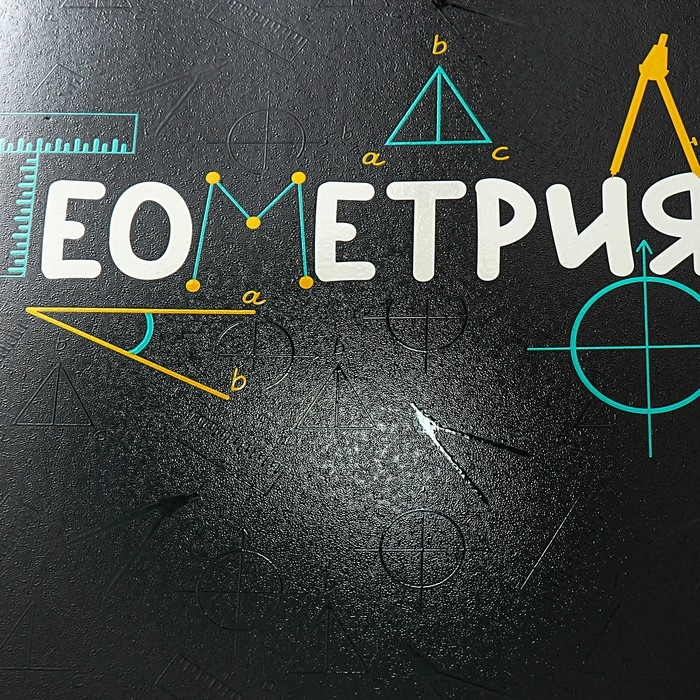 Тетрадь предметная ГЕОМЕТРИЯ, 48 листов в клетку, ErichKrause Inscription, обложка мелованный картон, твин-лак, блок офсет 100% белизна, инфо-блок