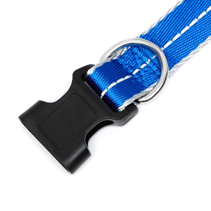 Ошейник светоотражающий Ошейник светоотражающий "Неон", ширина 2,5 см, синий