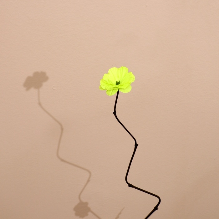 Интерьерный декор из бамбука, цветы пластик 200 см салатовый