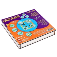 Развивающая игра из дерева &laquo;Цикл жизни&raquo;