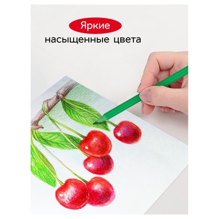 Карандаши цветные пластиковые 36 цветов Гамма Карандаши цветные пластиковые 36 цветов Гамма "Мультики", заточенные, ПВХ, европодвес 251220214