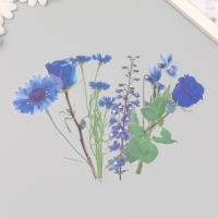 Наклейки пластик "Цветы и цитаты. Голубые" набор 12 шт 8,5х21,5х0,2 см