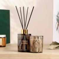 Набор в клетке "Love home" диффузор 100 мл и свеча 6х7 см, дикая черника Набор в клетке "Love home" диффузор 100 мл и свеча 6х7 см, дикая черника