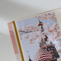 Фотоальбом &laquo;Абстракция&raquo;, 20 магнитных листов