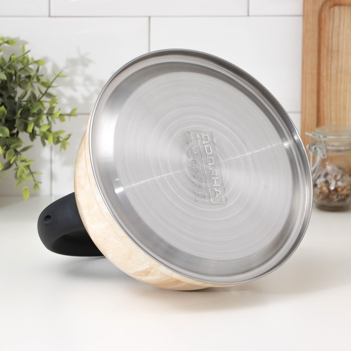 Чайник со свистком из нержавеющей стали Доляна &laquo;Скоттиш&raquo;, 2,8 л