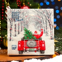 Новогодние салфетки бумажные Home Collection &laquo;Дед Мороз в пути&raquo;, 3 слоя, 33х33, 20 шт.