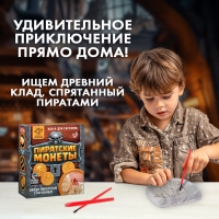 Набор для раскопок &laquo;Пиратские монеты&raquo;
