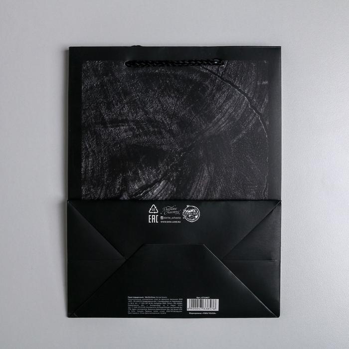 Пакет подарочный ламинированный вертикальный, упаковка, «Wood style», MS 18 х 23 х 10 см Пакет подарочный ламинированный вертикальный, упаковка, «Wood style», MS 18 х 23 х 10 см