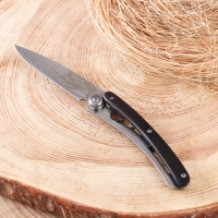 Нож складной "Индеец" 20см, клинок 87мм/2,2мм Нож складной "Индеец" 20см, клинок 87мм/2,2мм