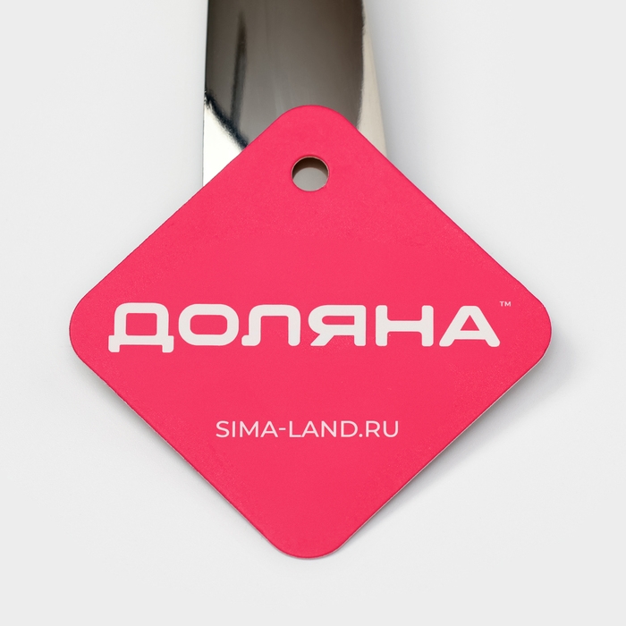 Лопатка из нержавеющей стали Доляна Everyday, 35&times;7,5 см, толщина 3 мм, цвет серебряный