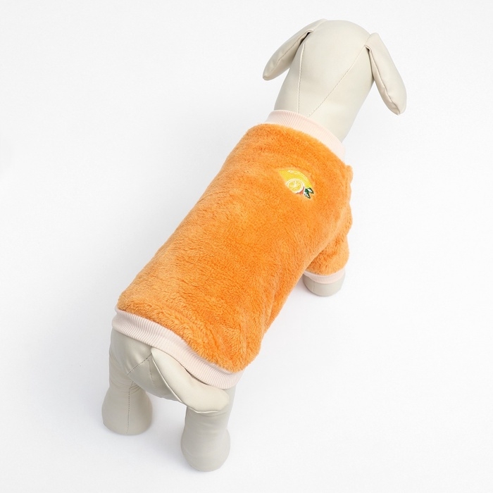 Свитер Свитер "Мандарин", велюр, размер M (ДС 30, ОШ 27, ОГ 40 см), оранжевый