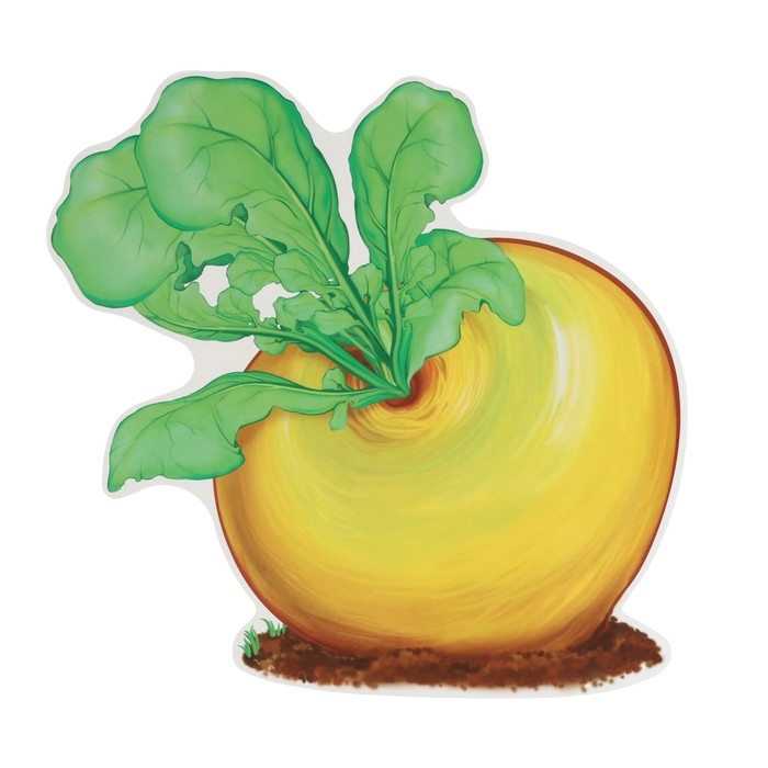 Набор украшений на скотче "Герои сказки Репка" 10 штук