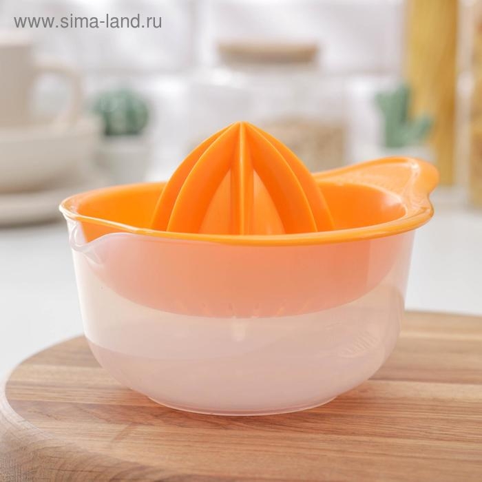 Соковыжималка для цитрусовых «Мадена», 300 мл, цвет МИКС Соковыжималка для цитрусовых «Мадена», 300 мл, цвет МИКС