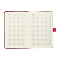 Ежедневник недатированный, формат А6, 100 листов, в клетку, обложка кожзам, на резинке, красный