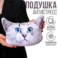 Подушка антистресс, кошка &laquo;Британец&raquo;