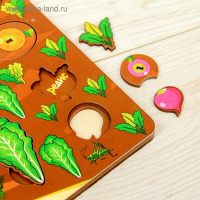 Набор &laquo;Овощи на грядке&raquo;