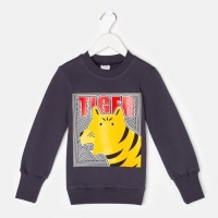 Свитшот для мальчика MINAKU: Casual Collection KIDS цвет графит, рост 116