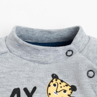 Комплект: джемпер и брюки Крошка Я &laquo;Леопарды&raquo;, цвет серый/синий, рост 68-74 см