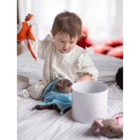 Комфортер для сна &laquo;Зайка Lu&raquo;, 26х27