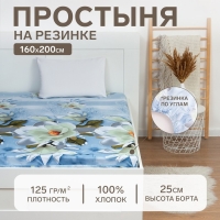 Простыня на резинке &laquo;Этель&raquo; 160х200х25 см