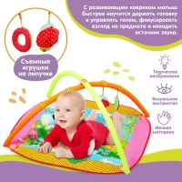 Развивающий коврик &laquo;Далматинцы&raquo;, с дугами, р-р 100&times;87х0,5 см.