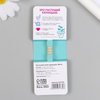 Растущие подарочные карандаши mini "Мята"