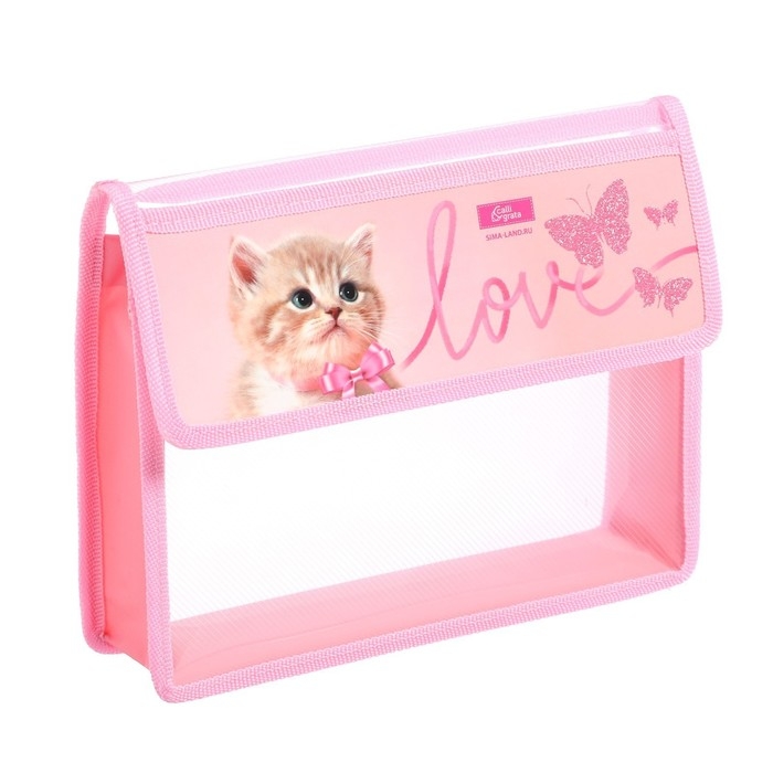 Папка для тетрадей А5 (230 х 190 х 50 мм), с клапаном на липучке, пластик/текстиль, Calligrata Папка для тетрадей А5 (230 х 190 х 50 мм), с клапаном на липучке, пластик/текстиль, Calligrata