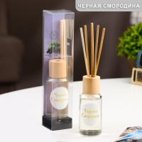 Диффузор ароматический "Модерн", 50 мл, Черная смородина, "Богатство Аромата" Диффузор ароматический "Модерн", 50 мл, Черная смородина, "Богатство Аромата"