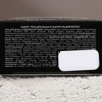 Подарочный набор косметики &laquo;Успехов в Новом Году&raquo;, гель для душа и шампунь для волос, 2 х 100 мл, ЧИСТОЕ СЧАСТЬЕ