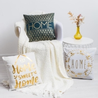 Наволочка декоративная Этель &laquo;Home&raquo; 42 х 42 см, велюр