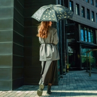 Зонт женский механический «Золотые перья», 8 спиц, d=95, цвет чёрный Зонт женский механический «Золотые перья», 8 спиц, d=95, цвет чёрный