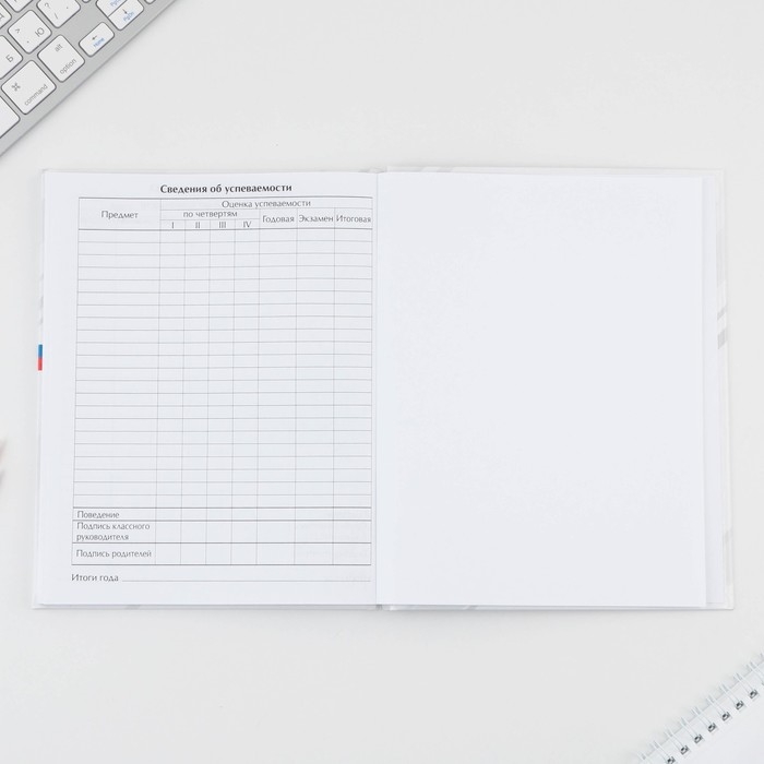 Дневник школьный 5-11 класс &laquo;1 сентября:Россия&raquo;, твердая обложка 7БЦ, глянцевая ламинация, 48 листов