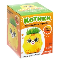 Набор для опытов &laquo;Котики. Выращиваем травку&raquo;, жёлтый горшочек