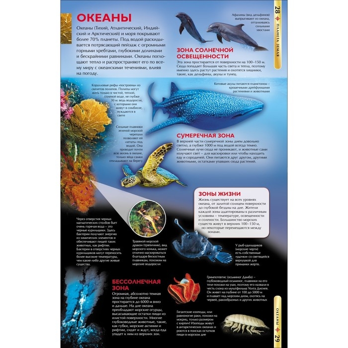 Детская энциклопедия &laquo;Планета Земля&raquo;