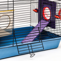 Клетка для грызунов малая с лабиринтом, колесом и домом, 40 x 25 х 22 см, микс цветов Клетка для грызунов малая с лабиринтом, колесом и домом, 40 x 25 х 22 см, микс цветов