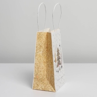 Пакет подарочный новогодний крафтовый &laquo;Сказка&raquo;, 12 х 21 х 9 см, Новый год