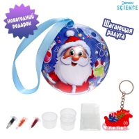 Набор для опытов &laquo;Новогодние чудеса&raquo;, шагающая гирлянда