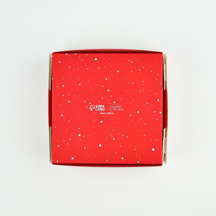 Коробка под 4 конфеты «Зимняя ботаника», 10.5 х 10.5 х 3.5 см, Новый год Коробка под 4 конфеты «Зимняя ботаника», 10.5 х 10.5 х 3.5 см, Новый год