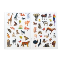 Книжка с наклейками &laquo;Счёт&raquo;, 12 стр.