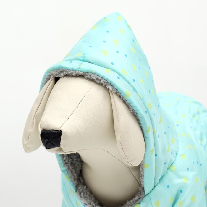 Комбинезон "нежный путь" на меховом подкладе, размер M (ДС 30, ОШ 30, ОГ 40 см), голубой