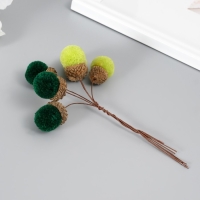 Цветы для декорирования "Хлопчик" зелёный 1 букет= 6 веточек d=2 см 11 см Цветы для декорирования "Хлопчик" зелёный 1 букет= 6 веточек d=2 см 11 см