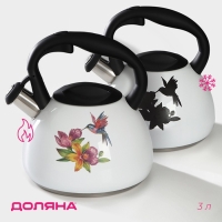 Чайник со свистком из нержавеющей стали Доляна &laquo;Колибри&raquo;, 3 л, с индикатором нагрева