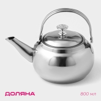 Заварочный чайник Доляна &laquo;Гретель&raquo;, 700 мл, металлическое сито, нержавеющая сталь, хромированный