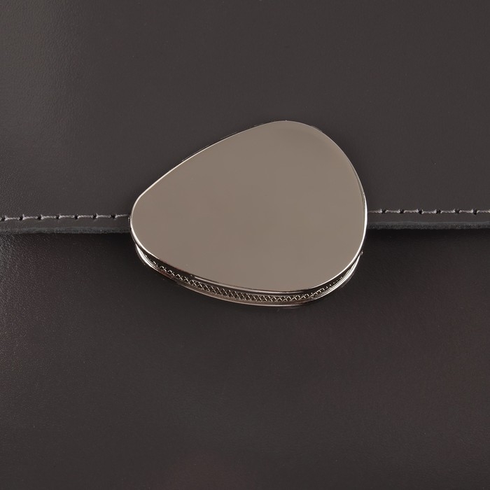 Застёжка для сумки, 4,8 &times; 3,5 см, цвет жемчужный серебряный