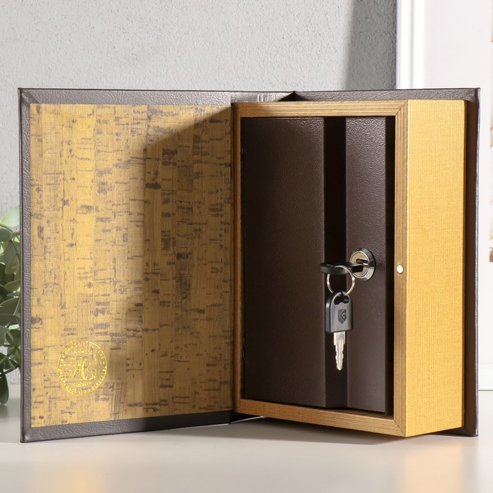 Сейф-книга "Доходы и сверхдоходы" 22х16х7 см