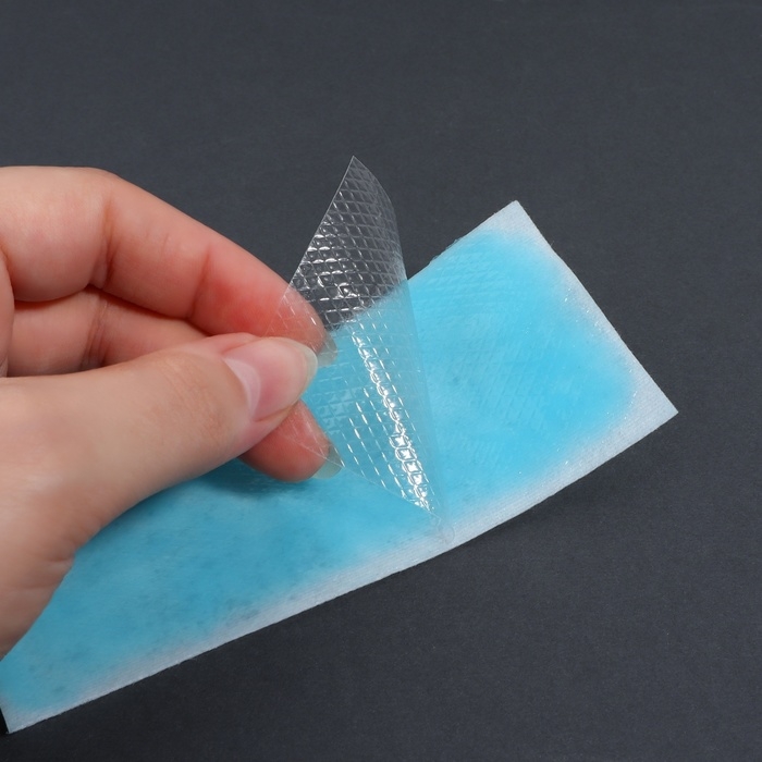 Пластина охлаждающая, набор - 5 шт, 12 × 5 см, цвет синий Пластина охлаждающая, набор - 5 шт, 12 × 5 см, цвет синий