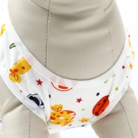 Попона послеоперационная, размер S (ОГ 18-22, ОГ 28-34, ДС- 23 см), леденцы Попона послеоперационная, размер S (ОГ 18-22, ОГ 28-34, ДС- 23 см), леденцы